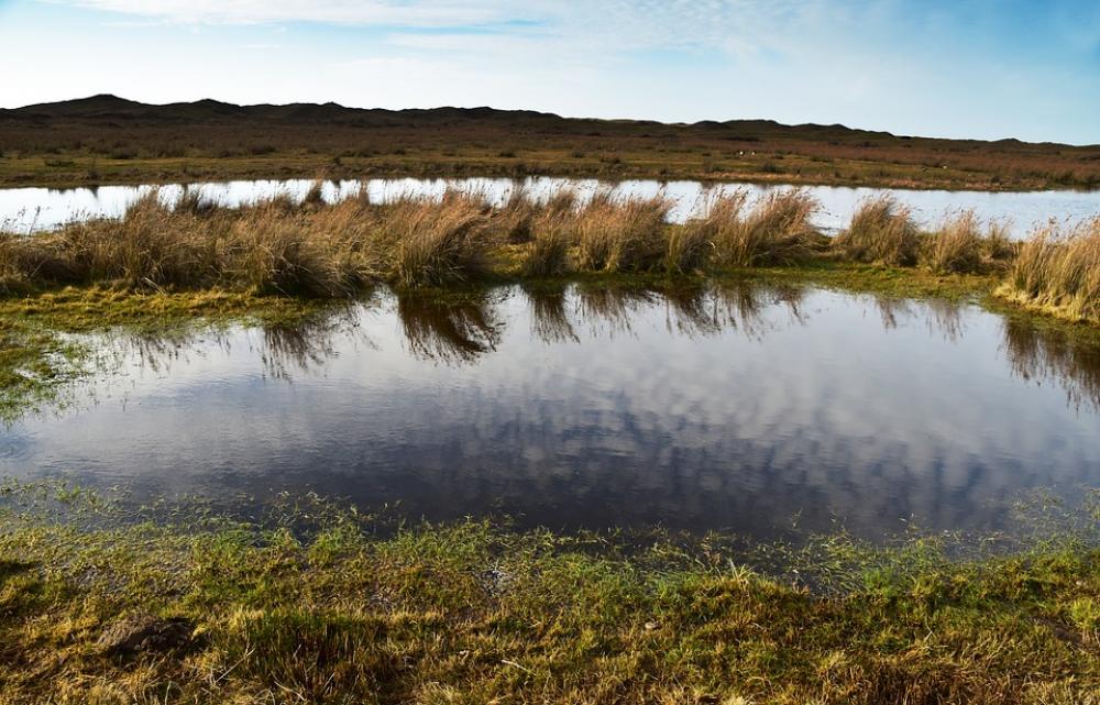 Pond Lake Water Nature Mirroring Landscape Grass Pond Lake Water Nature Mirroring Landscape Grass