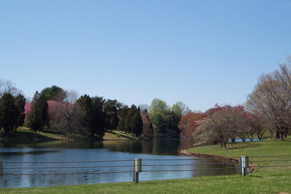 Pond Park Calm Summer Lake Water Nature Outdoor Pond Park Calm Summer Lake Water Nature Outdoor