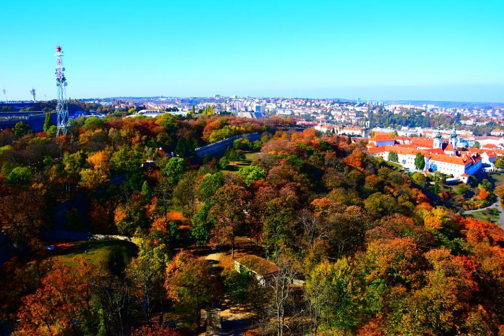 Prague Autumn Czech Republic Nature Trees Prague Autumn Czech Republic Nature Trees