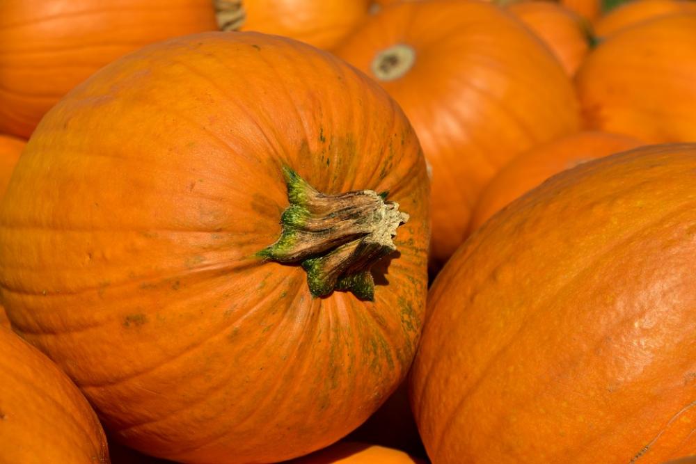Pumpkin Halloween Autumn October Orange Decoration Pumpkin Halloween Autumn October Orange Decoration