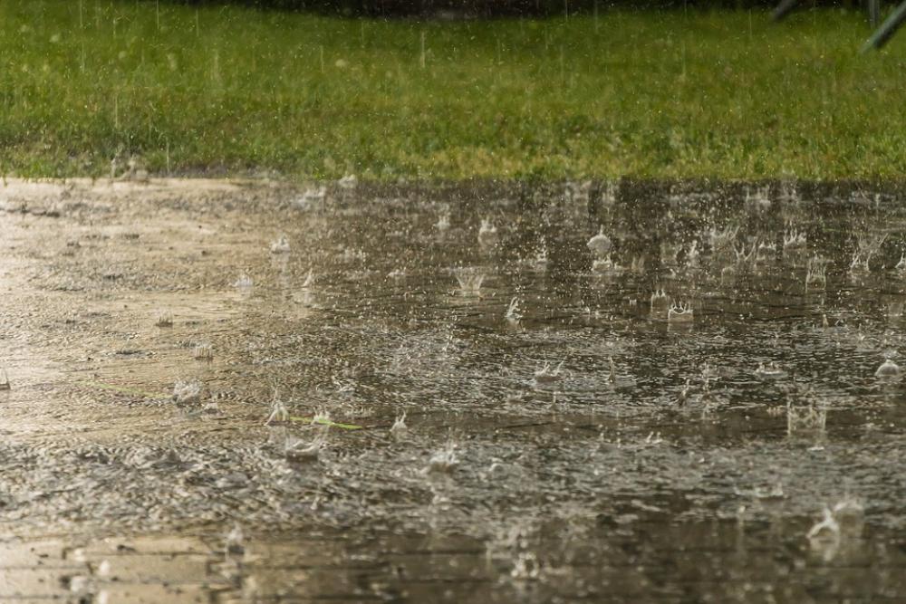 Rain Weather Raindrop Heavy Rain Storm Wet Nature Rain Weather Raindrop Heavy Rain Storm Wet Nature
