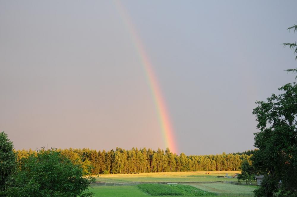Rainbow Forest Sky Thunderstorm Rainbow Forest Sky Thunderstorm
