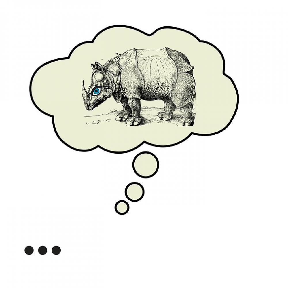 Rhino Bubble Albrecht Duerer Rhino Thinking Art Rhino Bubble Albrecht Duerer Rhino Thinking Art