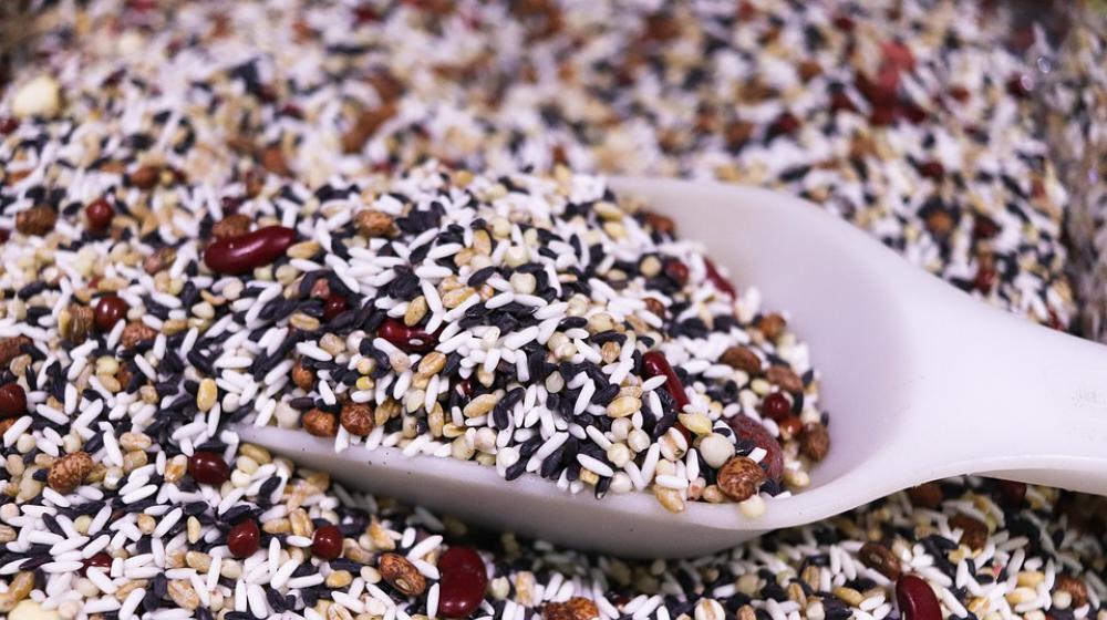 Rice Color Rice Nature Asia Agriculture Bean Rice Color Rice Nature Asia Agriculture Bean