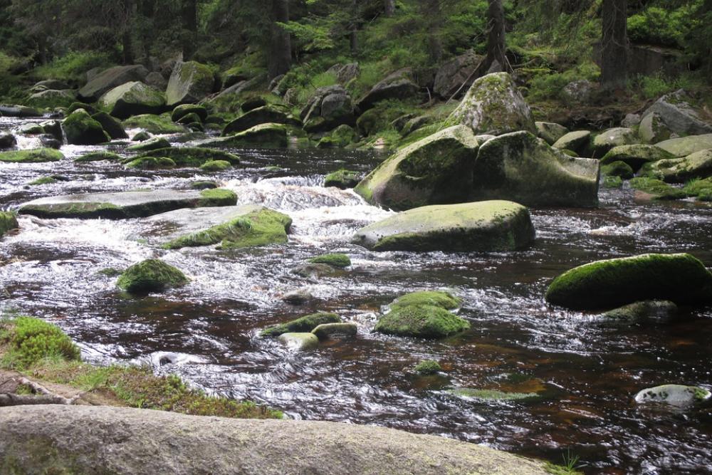 River Šumava Stones Nature River Šumava Stones Nature