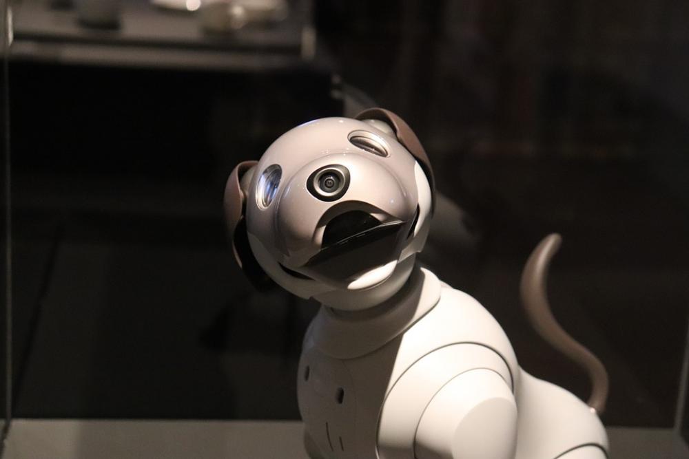 Robot Animal Dog Mechanics Design Snout Robot Animal Dog Mechanics Design Snout