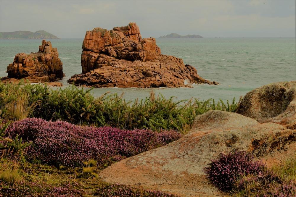 Rock Sea Ocean Flower Side Granite Travel Nature Rock Sea Ocean Flower Side Granite Travel Nature