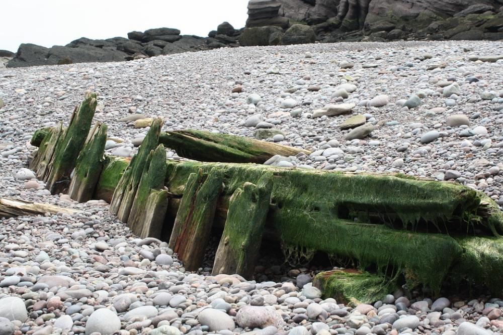 Rocky Beach Beach Fundy Bay Rocky Beach Beach Fundy Bay