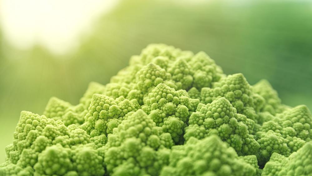 Romanesco Vegetables Green Food Vitaminhaltig Romanesco Vegetables Green Food Vitaminhaltig