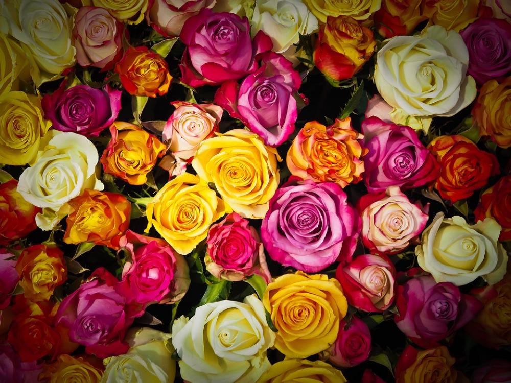 Roses Bouquet Of Roses Bouquet Flowers White Pink Roses Bouquet Of Roses Bouquet Flowers White Pink
