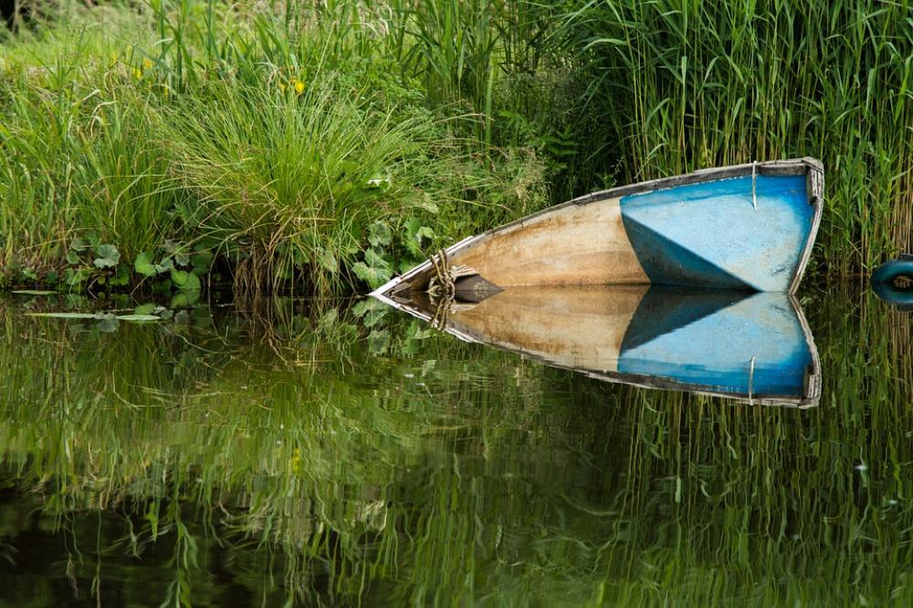 Rowing Boat Demise Water Reed Landscape Nature Rowing Boat Demise Water Reed Landscape Nature
