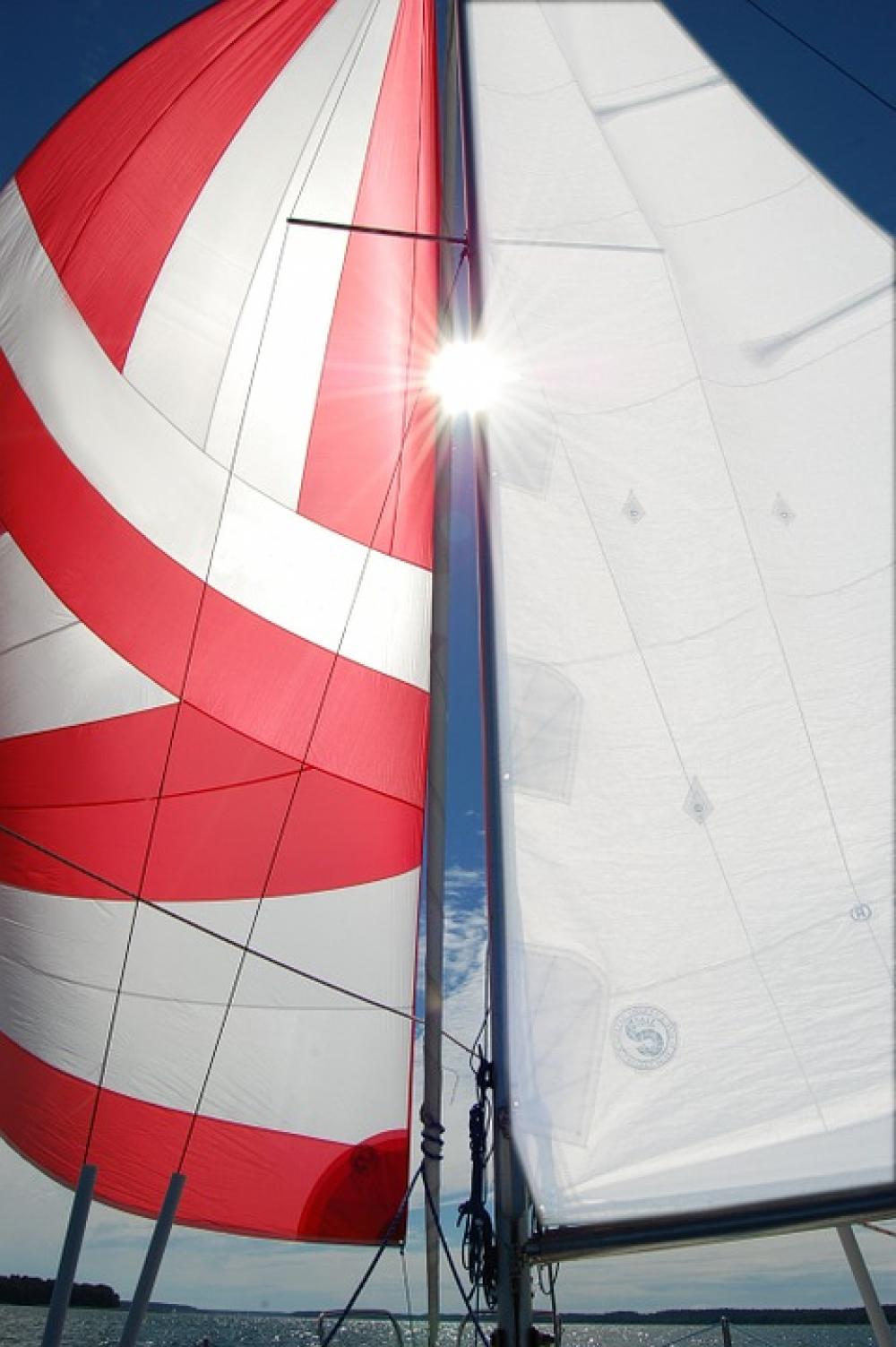 Sails Maui Wind Sails Maui Wind