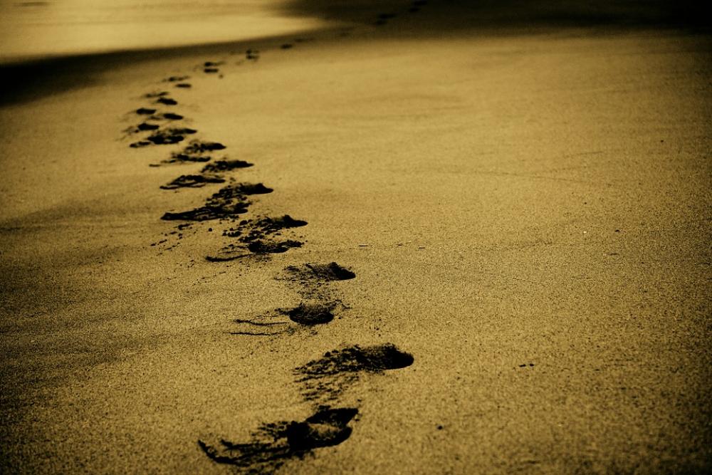Sand Footsteps Footprints Beach Coast Walk Ocean Sand Footsteps Footprints Beach Coast Walk Ocean