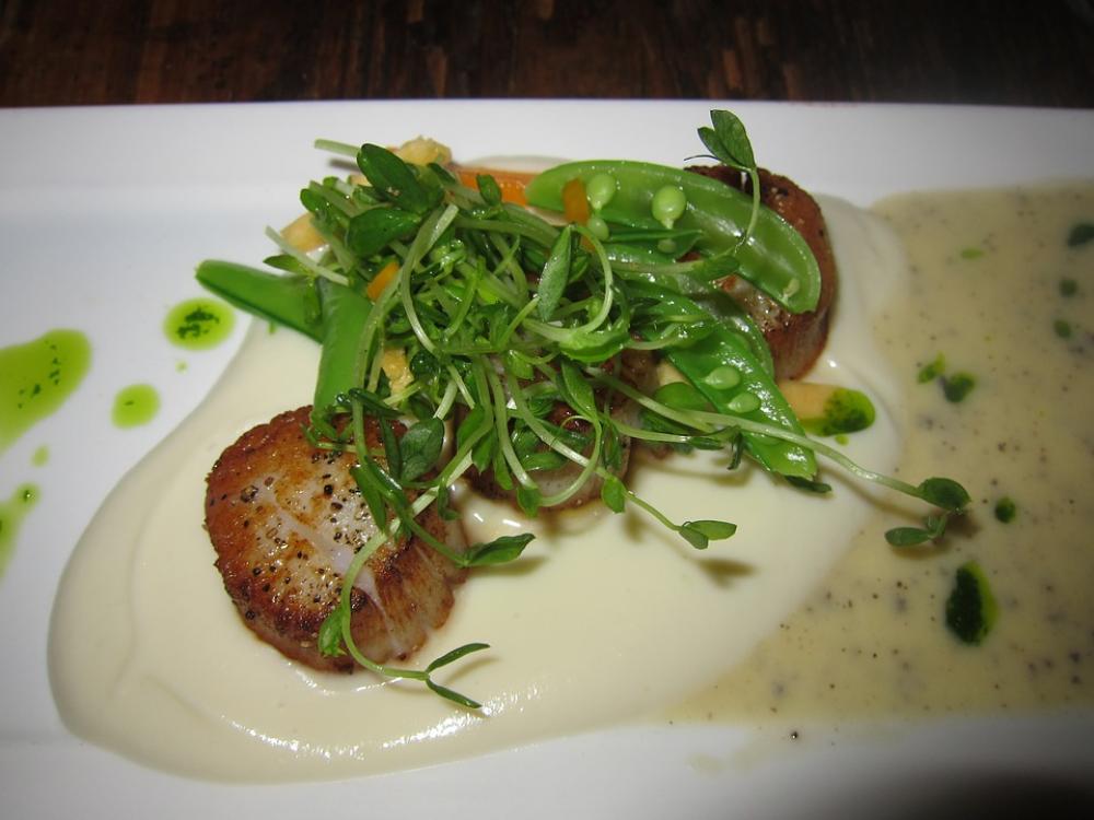 Scallops Seafood Di Food Meal Dinner Gourmet Scallops Seafood Di Food Meal Dinner Gourmet