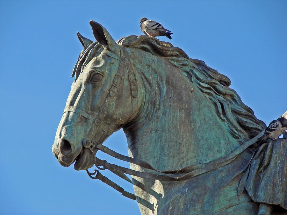 Sculpture Horse Paloma Statue Bronze Sculpture Horse Paloma Statue Bronze