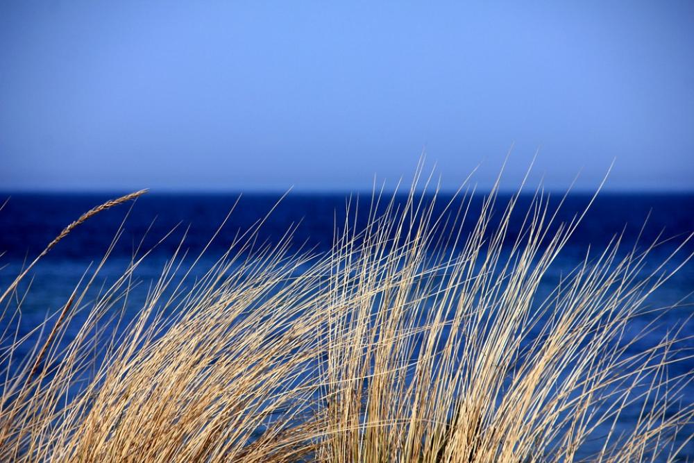 Sea Water Blue Grass Dunes Marram Grass Nature Sea Water Blue Grass Dunes Marram Grass Nature
