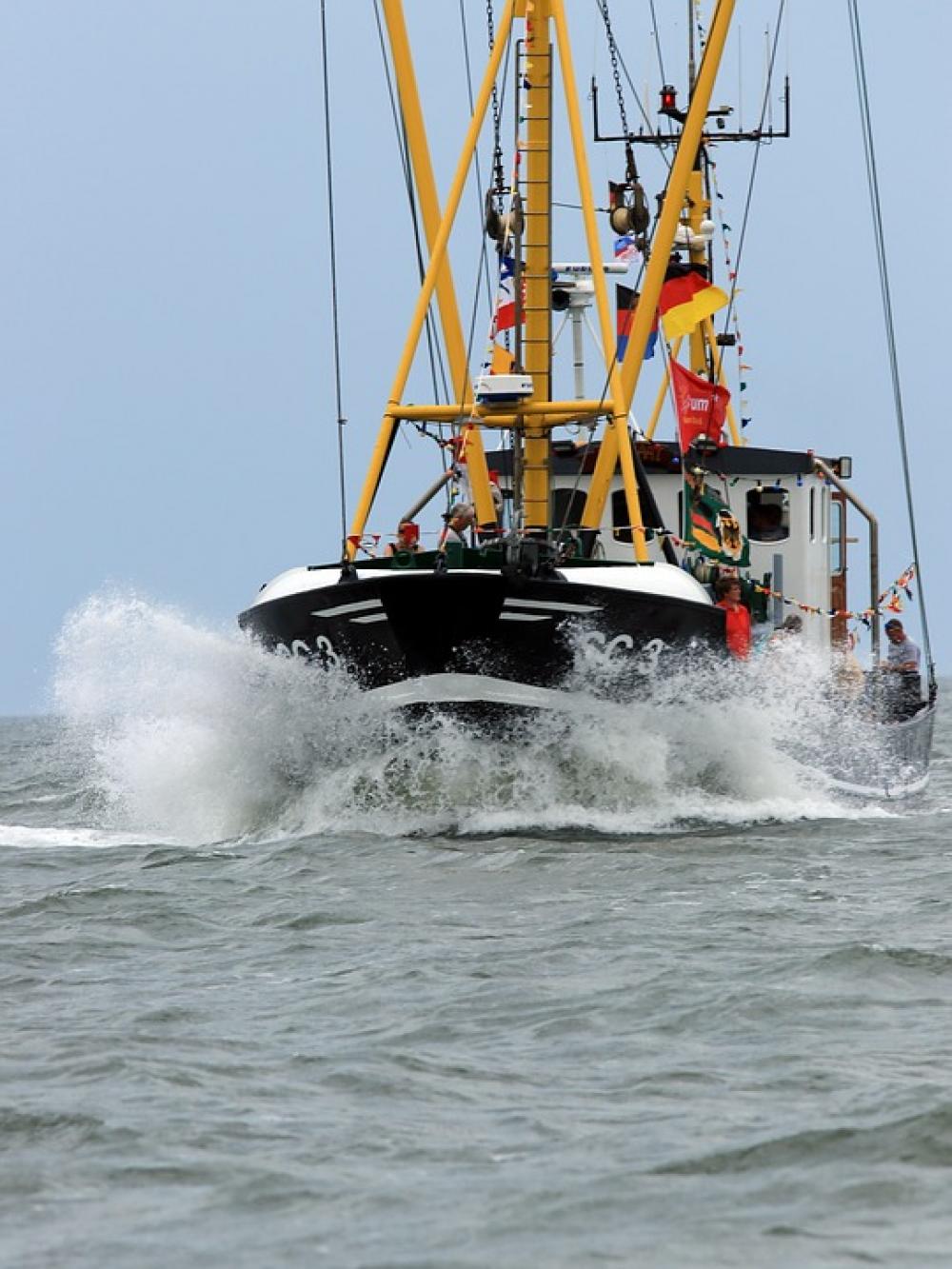 Sea Ships Boat Sail Coast Vacations Regatta Sea Ships Boat Sail Coast Vacations Regatta