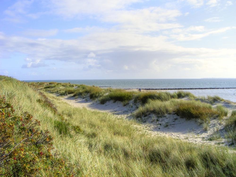 Sea Island Dunes Sylt Beach North Sea Nature Sea Island Dunes Sylt Beach North Sea Nature