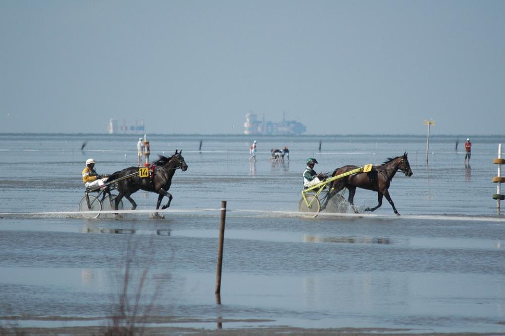 Sea Duhnen Watts Race Ships Horses North Sea Sea Duhnen Watts Race Ships Horses North Sea
