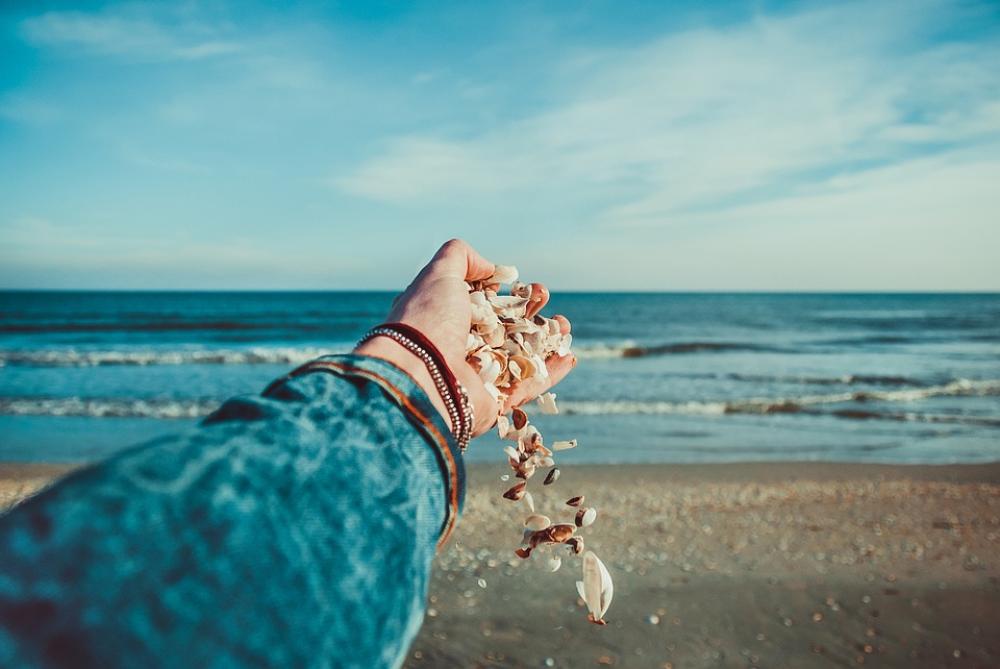 Seashells Ocean Hand Shell Sand Beach Shore Seashells Ocean Hand Shell Sand Beach Shore