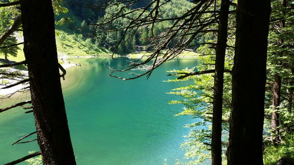 Seealpsee Switzerland Swiss Alps Water Mirroring Seealpsee Switzerland Swiss Alps Water Mirroring