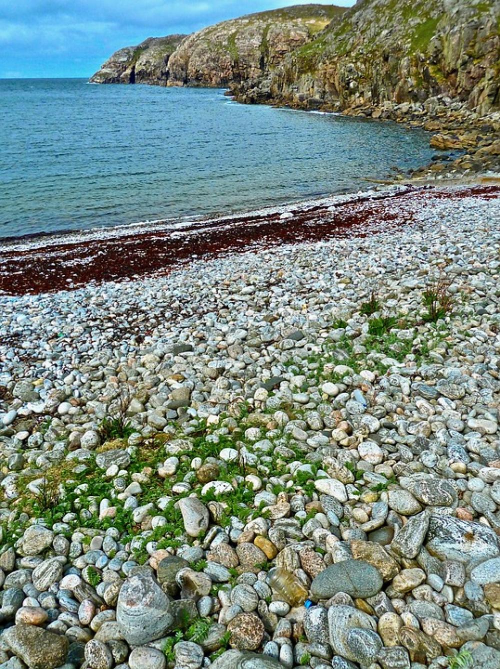 Shore Rocky Coast Beach Scenery Shore Rocky Coast Beach Scenery