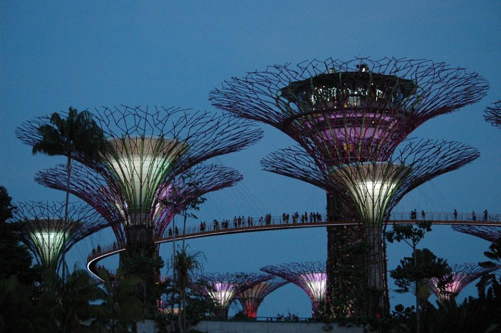 Singapore Gardens Attraction Trees Park Singapore Gardens Attraction Trees Park