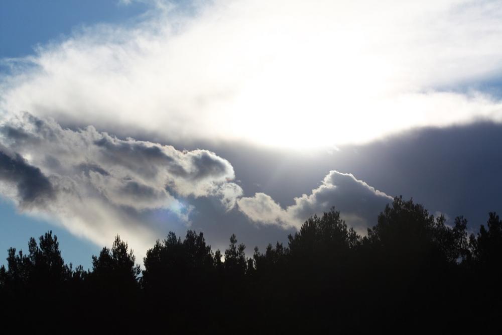 Sky Clouds Trees Nature Lights Sky Clouds Trees Nature Lights