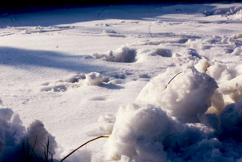 Snow Blue Landscape Cold Nature White Ice Snowy Snow Blue Landscape Cold Nature White Ice Snowy