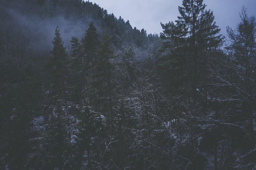 Snow Winter Wintry Hut Nature Cold Landscape Snow Winter Wintry Hut Nature Cold Landscape