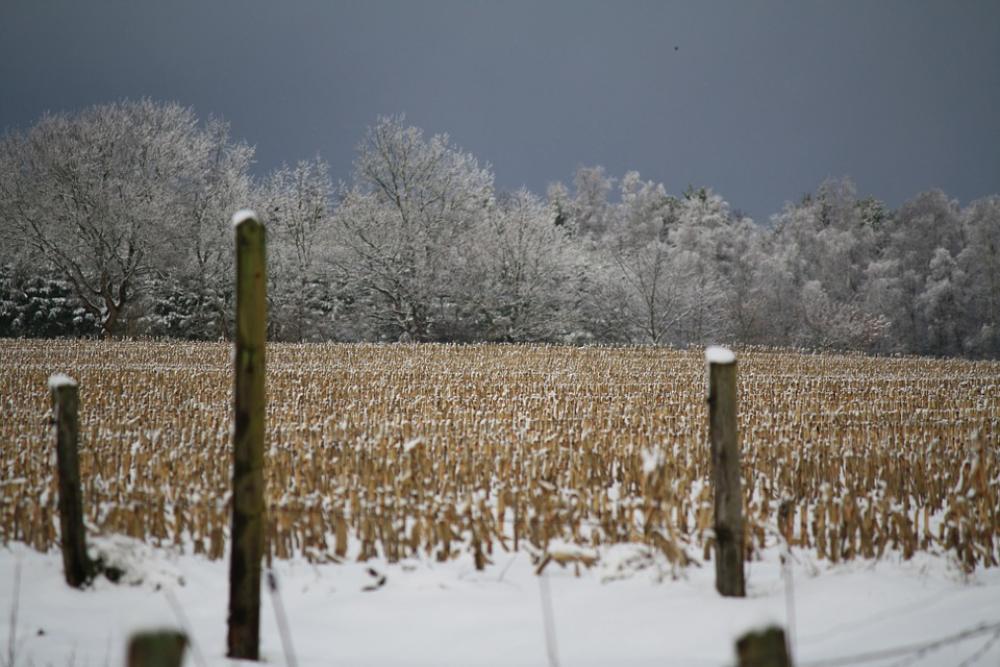 Snow Landscape Snow Sky Winter Cold Snow Landscape Snow Sky Winter Cold