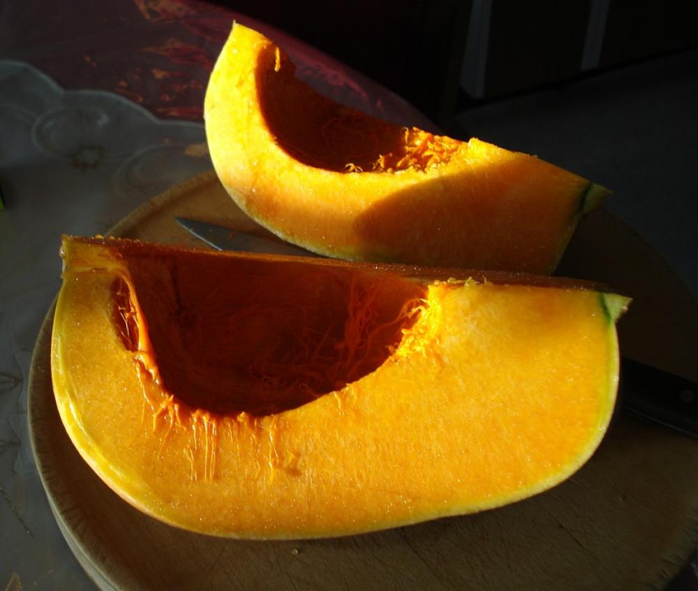 Squash Vegetable Pumpkin Fall Orange Squash Vegetable Pumpkin Fall Orange