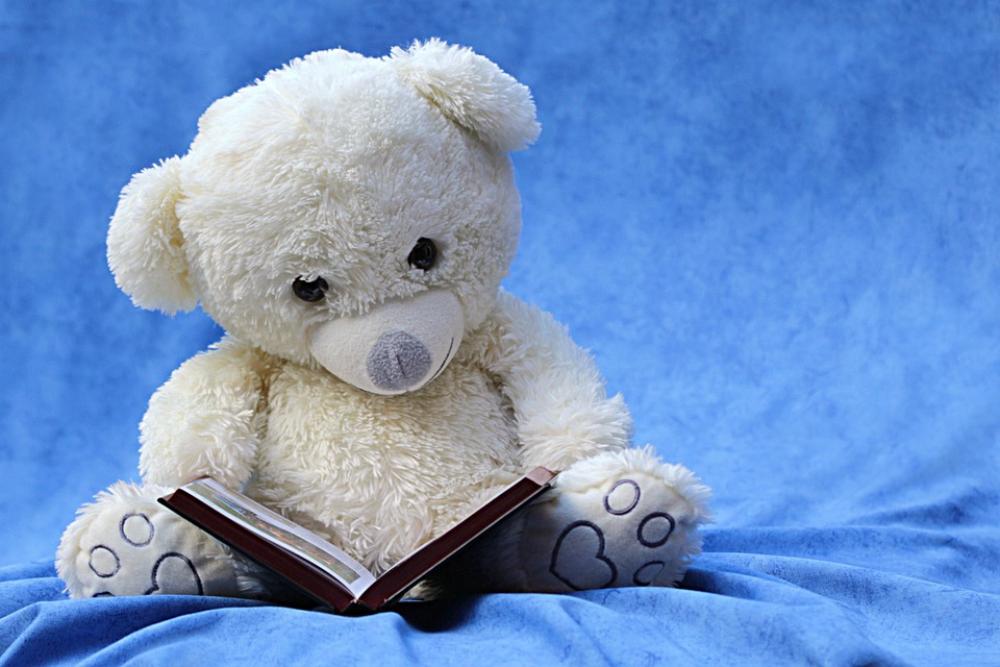 Still Life Teddy White Read Book Background Blue Still Life Teddy White Read Book Background Blue