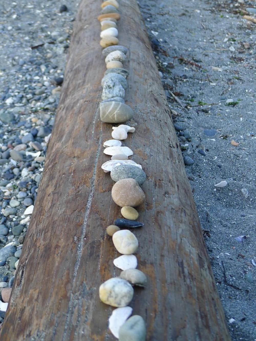 Stones Rocks Log Beach Nature Landscape Stones Rocks Log Beach Nature Landscape