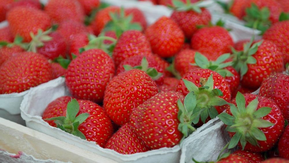 Strawberries Berries Fruit Close Up Eat Sweet Strawberries Berries Fruit Close Up Eat Sweet