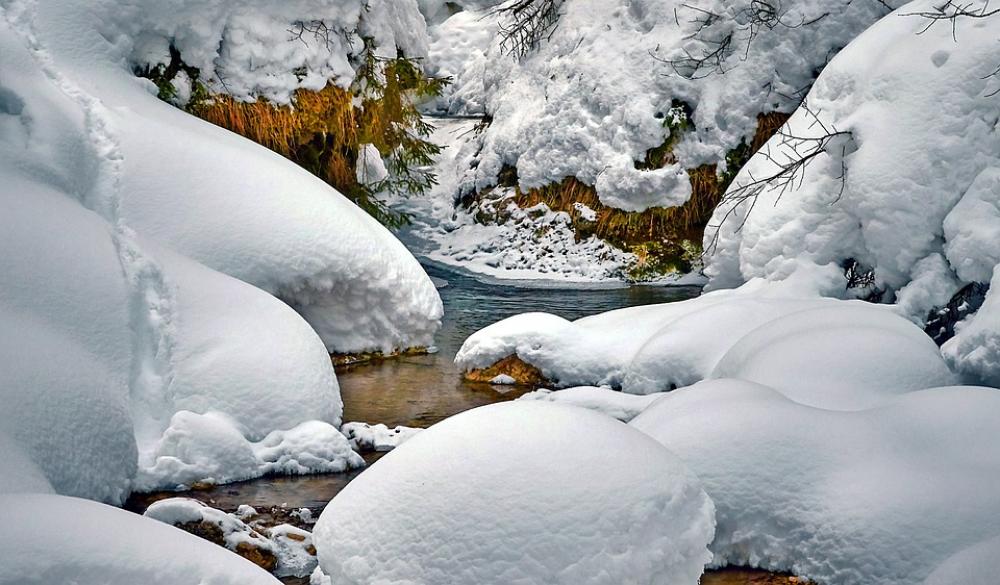 Stream Snow Water River Branches Stream Snow Water River Branches