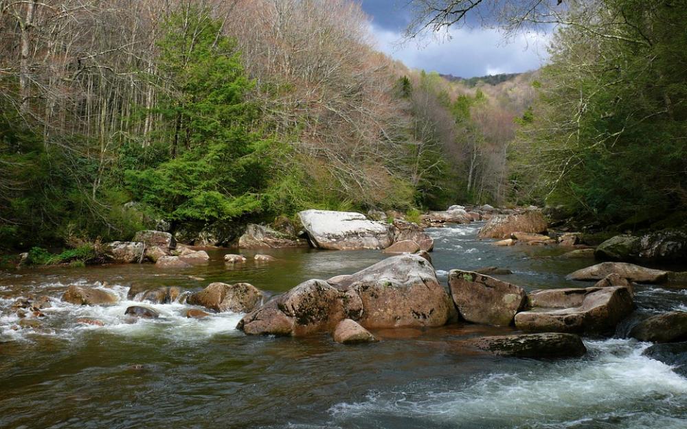 Stream River Landscape Water Rocks Nature Forest Stream River Landscape Water Rocks Nature Forest