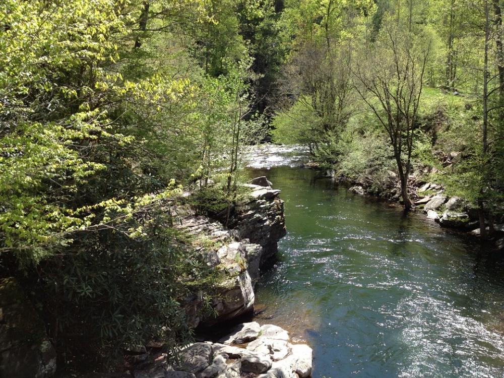 Stream Nature Mountain Forest Water Creek Scenic Stream Nature Mountain Forest Water Creek Scenic