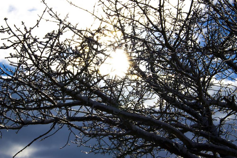 Sun Ice Snow Forest Strom Winter Nature Sun Ice Snow Forest Strom Winter Nature