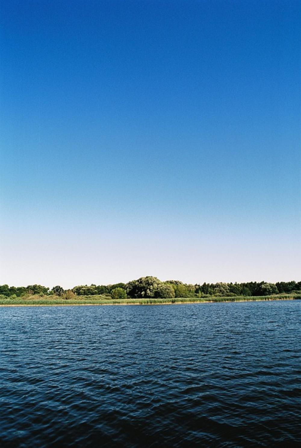 Sun Lake Reed Landscape Water Sun Lake Reed Landscape Water
