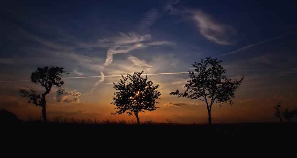 Sunset Trees Silhouettes Dusk Sky Evening Sky Sunset Trees Silhouettes Dusk Sky Evening Sky