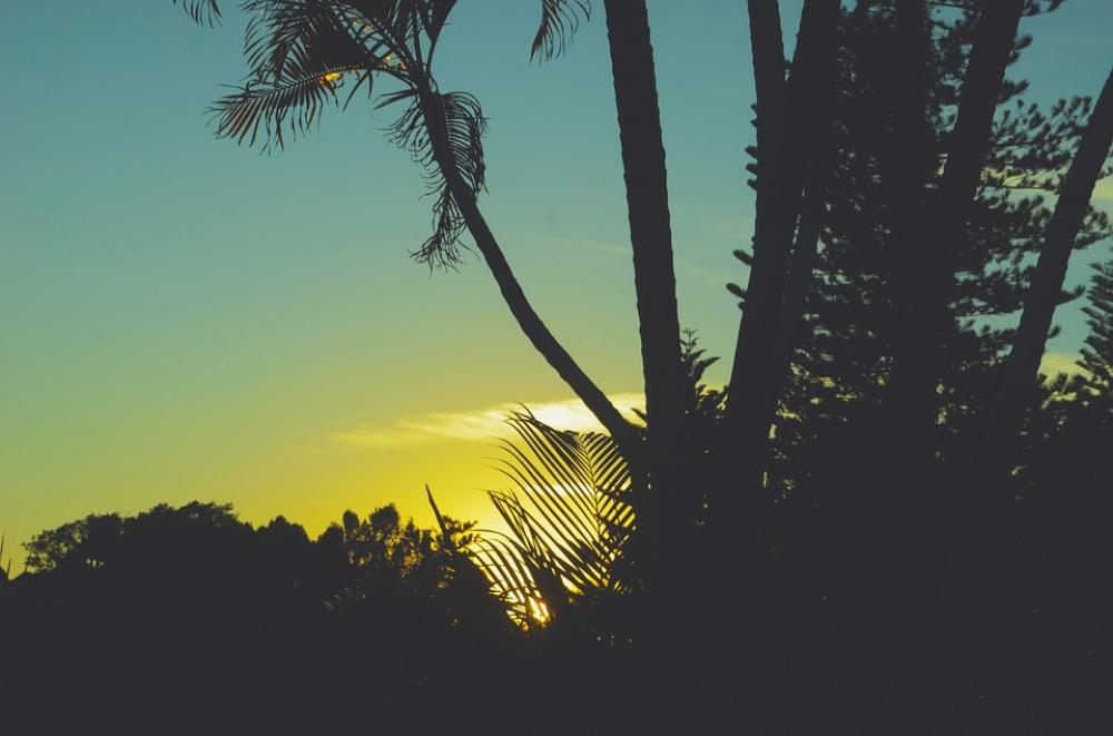 Sunset Outdoor Nature Outdoors Landscape Sunrise Sunset Outdoor Nature Outdoors Landscape Sunrise