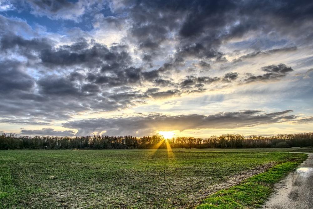 Sunset Sun Sky Clouds Field Meadow Landscape Sunset Sun Sky Clouds Field Meadow Landscape