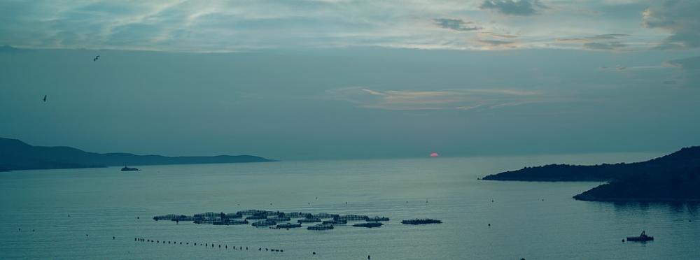 Sunset Sea Nature Sky Blue Sky Landscape Water Sunset Sea Nature Sky Blue Sky Landscape Water