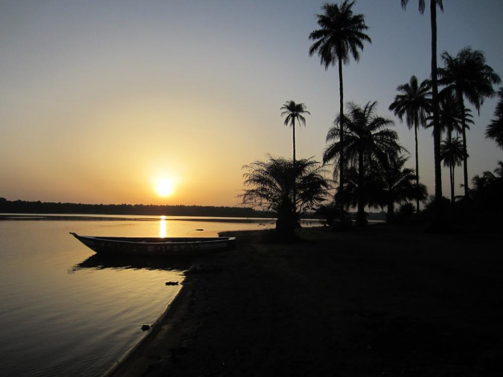 Sunset Guinea Africa Palm Trees Sunset Guinea Africa Palm Trees