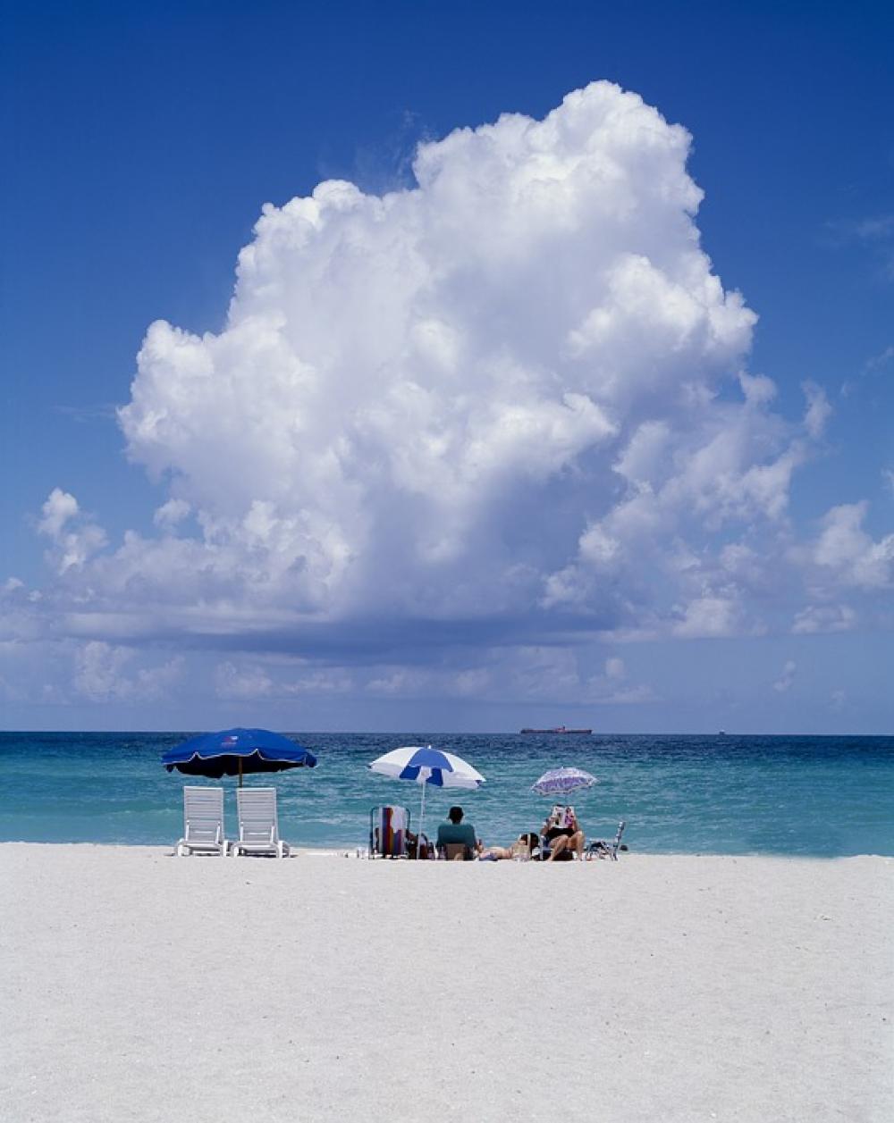 Suntan Family Portrait Beach Water Sitting Ocean Suntan Family Portrait Beach Water Sitting Ocean