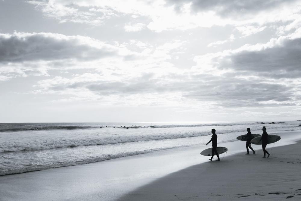 Surf Beach Black And White Surf Board Tide Waves Surf Beach Black And White Surf Board Tide Waves
