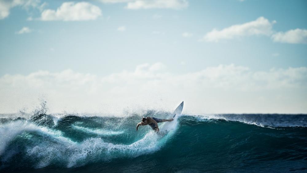Surfing Surfer Wave Ocean Sea Water Sports Surfing Surfer Wave Ocean Sea Water Sports