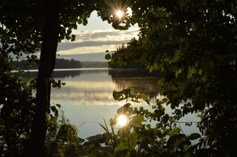 Tampere Nature Summer Lake Landscape Tampere Nature Summer Lake Landscape
