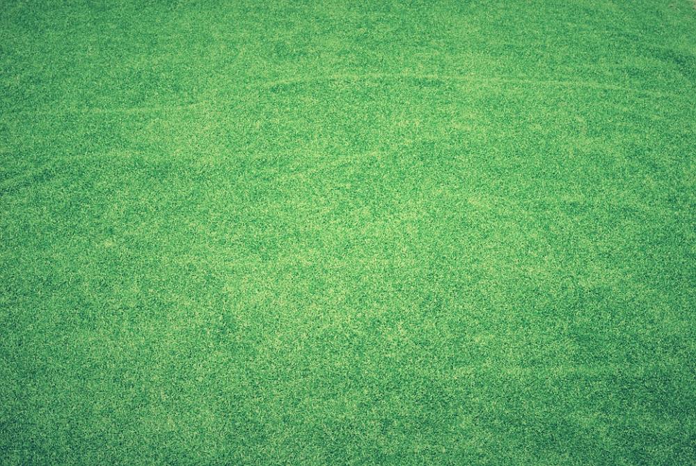 Tennis Court Lawn Grass Artificial Grass Backdrop Tennis Court Lawn Grass Artificial Grass Backdrop
